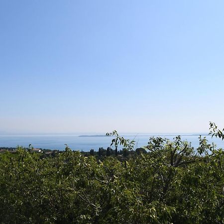 Alice'S Nest-Lake View House Padenghe sul Garda Ngoại thất bức ảnh